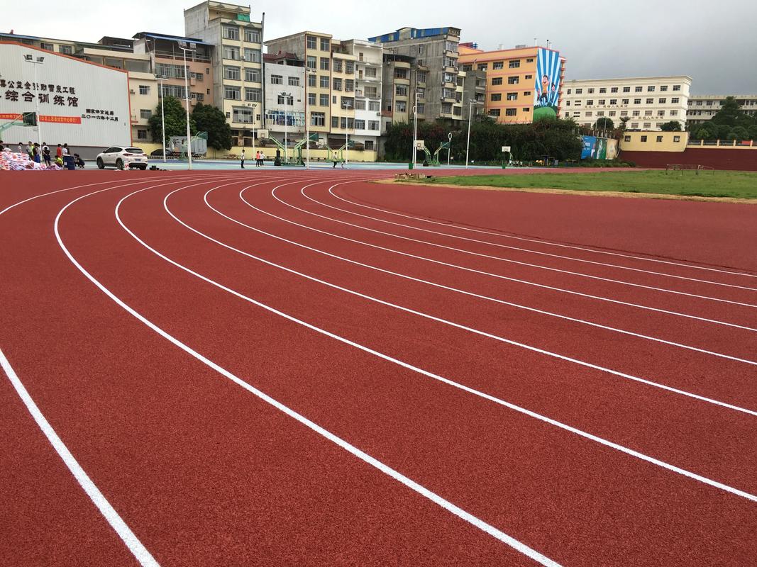 资阳市EPDM颗粒塑胶跑道材料 - 排名